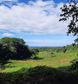 Finca en El Crucero en El Crucero, Managua