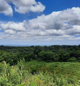 Finca en El Crucero en El Crucero, Managua
